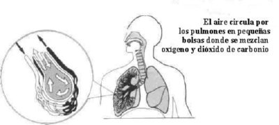OIT  IMAGENES DIBUJOS JPG